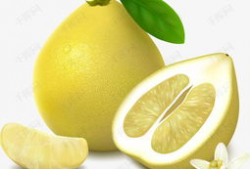 柚子漫画,趣味横生的日常喜剧之旅